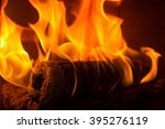 Log On Fire Burning Billets In...