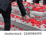 People put poppy flowers on Tomb of the Unknown Soldier in Ottawa, Canada on Remembrance Day