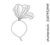 Turnip Coloring Page For Kids...