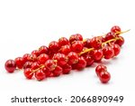 Redcurrant on a white background. Along with the mature Redcurrant shade. close up