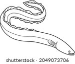 eel line vector illustration... | Shutterstock .eps vector #2049073706