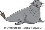 Elephant Seal Vector...