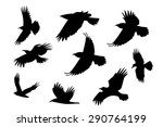Set Of Silhouette Flying Raven...