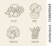 Set Of Hand Drawn Mushrooms....