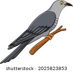 Cute Cuckoo Bird Cartoon Vector ...