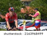 Small photo of Livek, Slovenia - May 27 2022: Norwegian cyclist Tobias Foss, member of Jumbo-Visma, during the climb on Kolovrat at Giro d'Italia 2022
