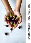 fresh and healthy brinjal ... | Shutterstock . vector #2077522189