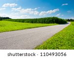 Asphalt Path between Corn  Fields in Bavaria, Germany