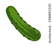 Vector Illustration Of Cucumber ...