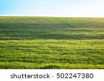 Outdoor countryside meadow grass nature. Rural grass field landscape. Background photography of natural summer landscape. Green lush grass field, nature concept. Agricultural grass field pastures