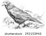 vector rook drawn in pencil on... | Shutterstock .eps vector #292153943