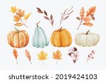 set of autumn leaves and... | Shutterstock .eps vector #2019424103