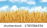 3d realistic vector gold wheat...