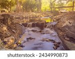 Small photo of Landscape view of majestic watercourse with sunlight filtering through in lush green forest background.