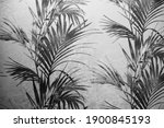 Wall Paper Black White Palm...