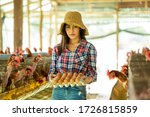 Female Farmer With Chicken Eggs ...