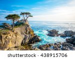 The Lone Cypress  Seen From The ...