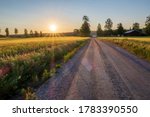 Small photo of sunrise over fields at roadside. Beautiful summer morning over grovel road and growing fields in the countryside of Sweden