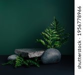 Small photo of Luxurious empty product marble stone podium and forest green leaves on dark background. Concept scene stage for promotion, sale, presentation or cosmetic. Black minimal mock up template.