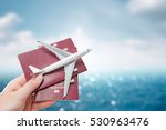 airplane passport flight travel traveller fly travelling citizenship air concept - stock image