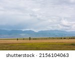 Dramatic alpine view to sunlit steppe and somber large mountains in low clouds during rain. Gloomy mountain landscape with bleak mountain range in rain and steppe in sunlight in changeable weather.