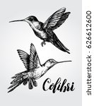 Two Flying Colibri Birds. Hand...