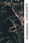 Small photo of Abstract blurred artificial of pink sakura flower decorate on dry tree in night garden thailand for pattern night for background.Vintage tone flim grian style.