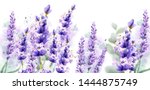 Lavender Watercolor Background...