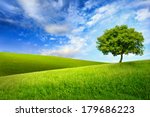 Scenic paradise with a single tree on top of a green hill, blue sky and white clouds and another hilly meadow in the background