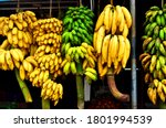 Varieties Of Bananas Hanging On ...