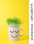 Small photo of Gray mug with funny face in which grows watercress microgreens on yellow background. Springtime home gardening concept. Healthy eco food. Copy space, minimalism, vertical orientation