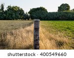 A real live scene of the grass is greener on the other side of the fence. A lovely, rural view of two paddocks or fields in the countryside of New Zealand. Horizontal format with copy space.