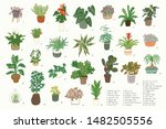 interior home indoor plants... | Shutterstock .eps vector #1482505556