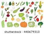 vegetables graphic vector color ... | Shutterstock .eps vector #440679313