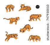 tiger and flowers illustration... | Shutterstock . vector #747930010