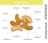 Cashew Nutrient Of Facts And...