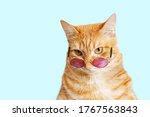 Closeup portrait of funny ginger cat wearing sunglasses isolated on light cyan. Copyspace.