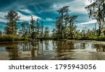Louisiana Swamp Lands Near New...