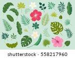 Vector Set Of Tropical Leaves....