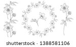 vector floral black and white... | Shutterstock .eps vector #1388581106