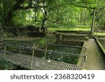 Small photo of One artificial lake and conceit bridge in a children park