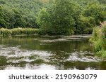 Mountain river with stones. Fast water current. Water photo texture. Grey river in tropics wallpaper. Rafting river in forest. Splashy fast river texture. Natural water texture. Fresh spring top view