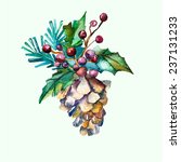 Watercolor Vector Fir Cone With ...