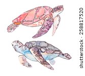 Sea Turtles. Ocean Vector.