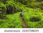 Small photo of Karnala, Maharashtra India July 10th, 2022 Trekking in Karnala Wildlife Santuary Peak during monsoon season