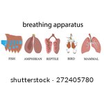 Breathing Easy: The Importance Of Even & Unlabored Respirations - zad6ypy
