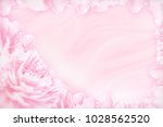 peony flowers blossom delicate... | Shutterstock . vector #1028562520