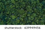 Aerial Top View Forest Tree ...