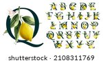 alphabet with lemons in vector... | Shutterstock .eps vector #2108311769