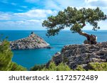 Crimean Pine On A Cliff...